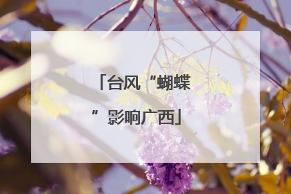 台风“蝴蝶”影响广西