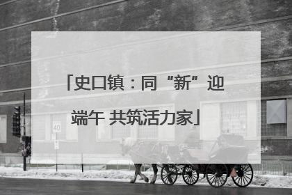 史口镇：同“新”迎端午 共筑活力家