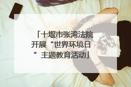 十堰市张湾法院开展“世界环境日”主题教育活动