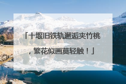十堰旧铁轨邂逅夹竹桃，繁花似画莫轻触！