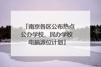 南京各区公布热点公办学校、民办学校电脑派位计划