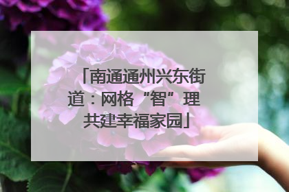 南通通州兴东街道：网格“智”理 共建幸福家园