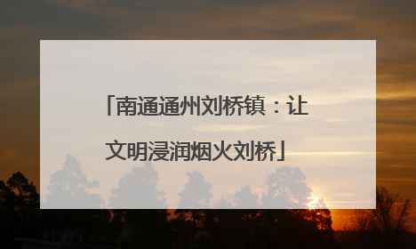 南通通州刘桥镇：让文明浸润烟火刘桥