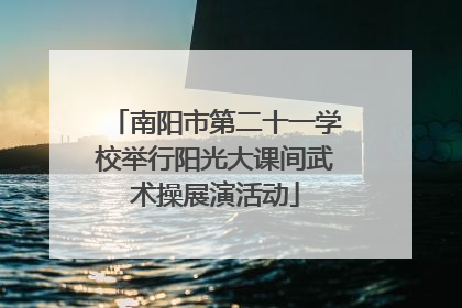 南阳市第二十一学校举行阳光大课间武术操展演活动