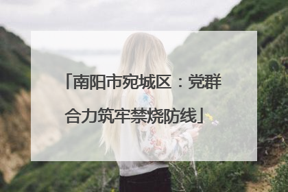 南阳市宛城区：党群合力筑牢禁烧防线