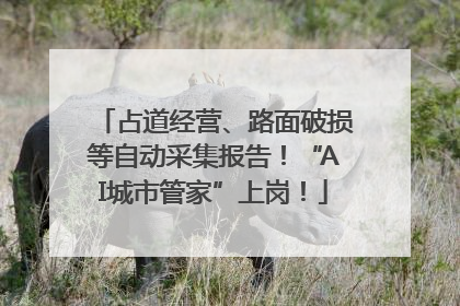占道经营、路面破损等自动采集报告！“AI城市管家”上岗！