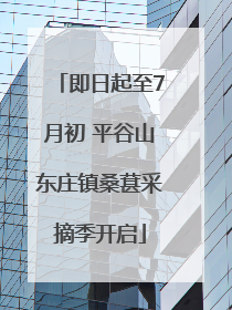 即日起至7月初 平谷山东庄镇桑葚采摘季开启