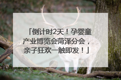 倒计时2天！孕婴童产业博览会菏泽分会，亲子狂欢一触即发！