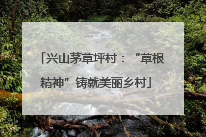 兴山茅草坪村：“草根精神”铸就美丽乡村