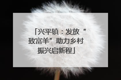 兴平镇：发放“致富羊”助力乡村振兴启新程