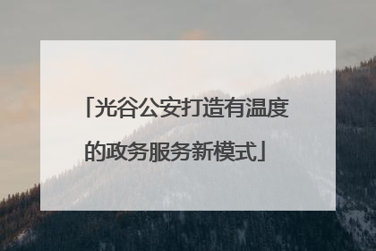 光谷公安打造有温度的政务服务新模式