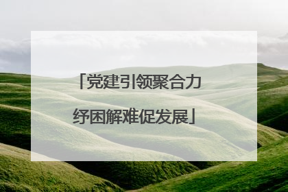 党建引领聚合力 纾困解难促发展