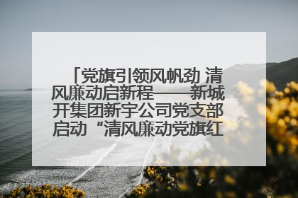 党旗引领风帆劲 清风廉动启新程——新城开集团新宇公司党支部启动“清风廉动党旗红”系列活动