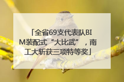 全省69支代表队BIM装配式“大比武”，南工大斩获三项特等奖