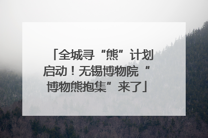 全城寻“熊”计划启动！无锡博物院“博物熊抱集”来了