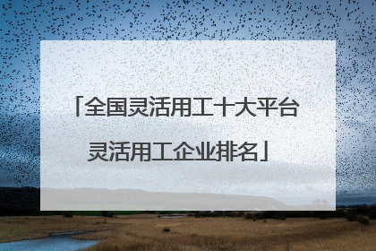 全国灵活用工十大平台 灵活用工企业排名