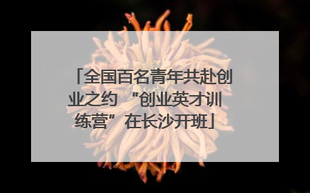 全国百名青年共赴创业之约 “创业英才训练营”在长沙开班