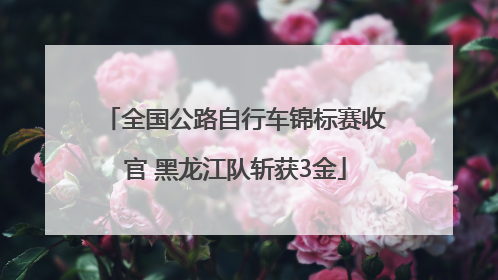 全国公路自行车锦标赛收官 黑龙江队斩获3金
