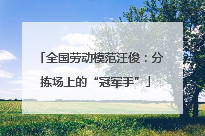 全国劳动模范汪俊：分拣场上的“冠军手”