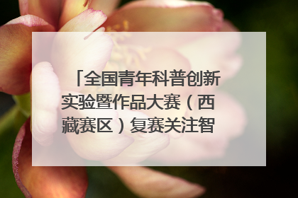 全国青年科普创新实验暨作品大赛（西藏赛区）复赛关注智慧环保等主题