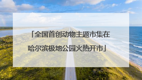 全国首创动物主题市集在哈尔滨极地公园火热开市