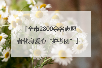 全市2800余名志愿者化身爱心“护考团”