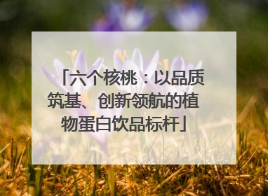 六个核桃：以品质筑基、创新领航的植物蛋白饮品标杆