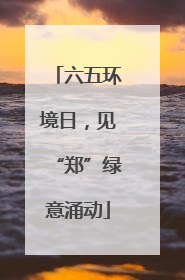 六五环境日，见“郑”绿意涌动