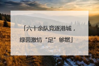 六十余队竞逐港城，绿茵激情“足”够燃