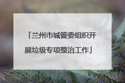 兰州市城管委组织开展垃圾专项整治工作