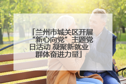 兰州市城关区开展“新心向党”主题党日活动 凝聚新就业群体奋进力量