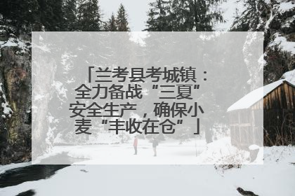 兰考县考城镇：全力备战“三夏”安全生产，确保小麦“丰收在仓”