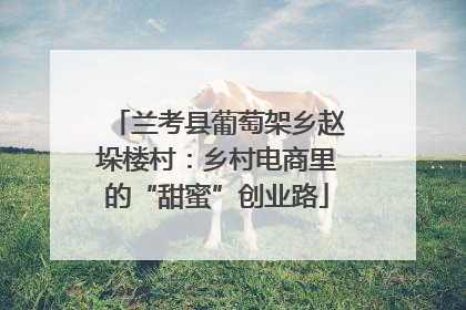 兰考县葡萄架乡赵垛楼村：乡村电商里的“甜蜜”创业路
