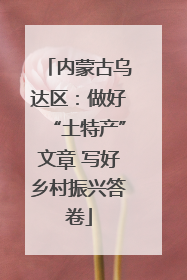 内蒙古乌达区：做好“土特产”文章 写好乡村振兴答卷