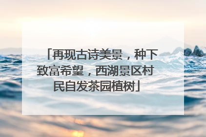 再现古诗美景，种下致富希望，西湖景区村民自发茶园植树