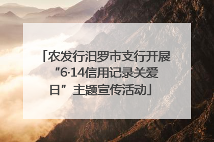 农发行汨罗市支行开展“6·14信用记录关爱日”主题宣传活动