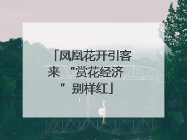 凤凰花开引客来 “赏花经济”别样红