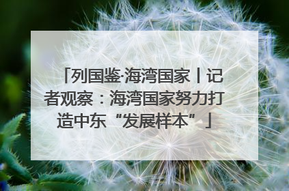 列国鉴·海湾国家丨记者观察：海湾国家努力打造中东“发展样本”