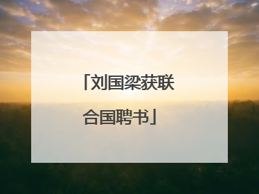 刘国梁获联合国聘书