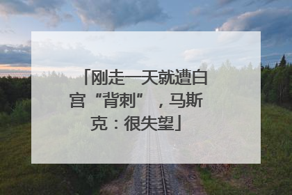 刚走一天就遭白宫“背刺”，马斯克：很失望