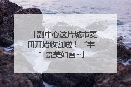 副中心这片城市麦田开始收割啦！“丰”景美如画~