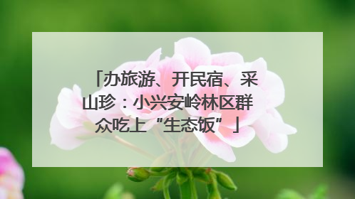 办旅游、开民宿、采山珍：小兴安岭林区群众吃上“生态饭”