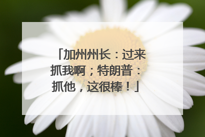 加州州长：过来抓我啊；特朗普：抓他，这很棒！