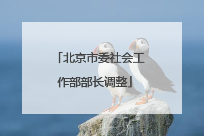 北京市委社会工作部部长调整