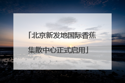 北京新发地国际香蕉集散中心正式启用