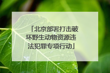 北京部署打击破坏野生动物资源违法犯罪专项行动
