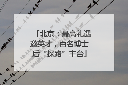 北京：最高礼遇邀英才，百名博士后“探路”丰台