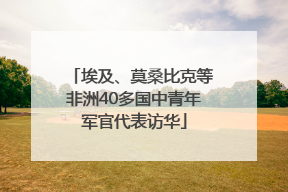 埃及、莫桑比克等非洲40多国中青年军官代表访华