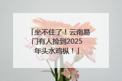 坐不住了！云南易门有人捡到2025年头水鸡枞！
