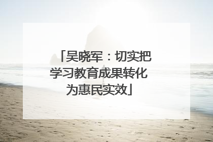 吴晓军：切实把学习教育成果转化为惠民实效